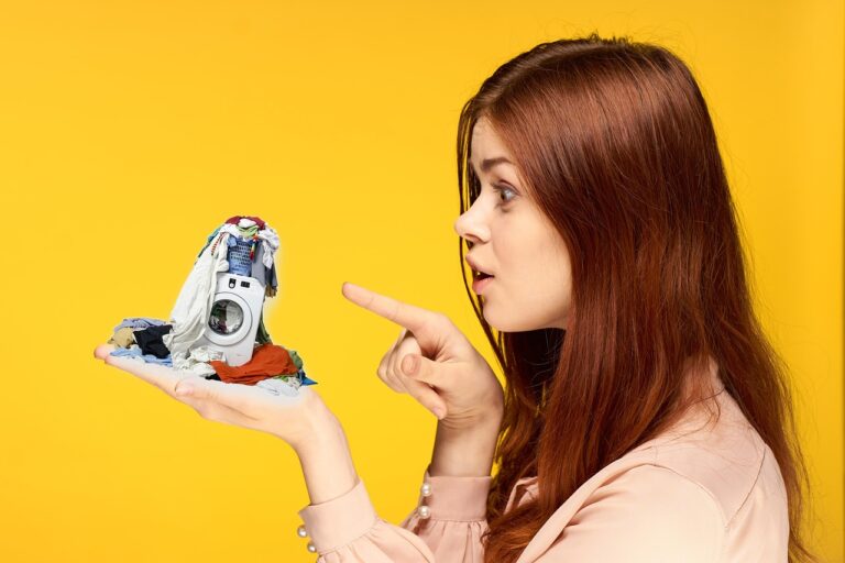 Controllo da app per l'asciugatrice: una guida completa a cosa si può fare